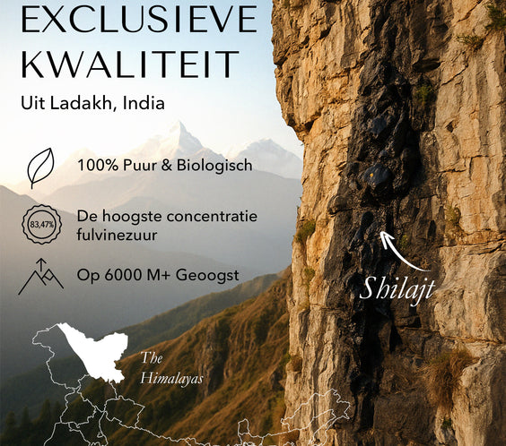 BLCKMNTN® Authentic Shilajit | Incl. E-book