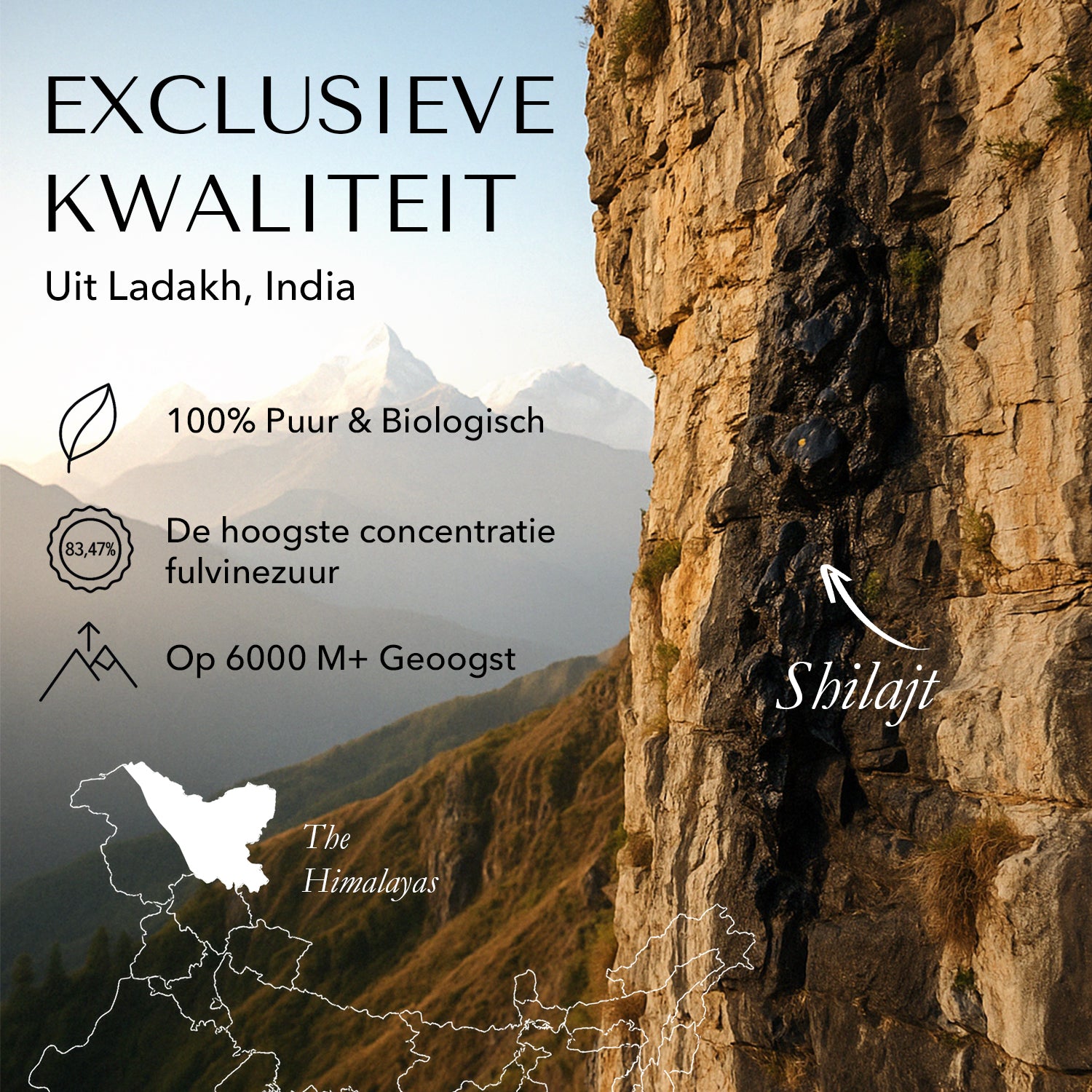 BLCKMNTN® Authentic Shilajit | Incl. E-book