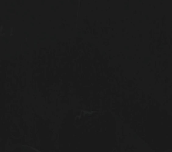 BLCKMNTN® Authentic Shilajit | Incl. E-book